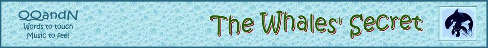 Quills Quotes & Notes: The Whales' Secret - a children's story by Rosemary Phillips illustrated by Julie Draper