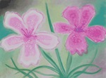 Both Sides Now - from a chalk drawing by Rosemary Phillips
