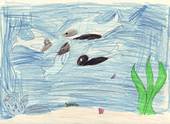  Childrens Art for The Whales Secret 